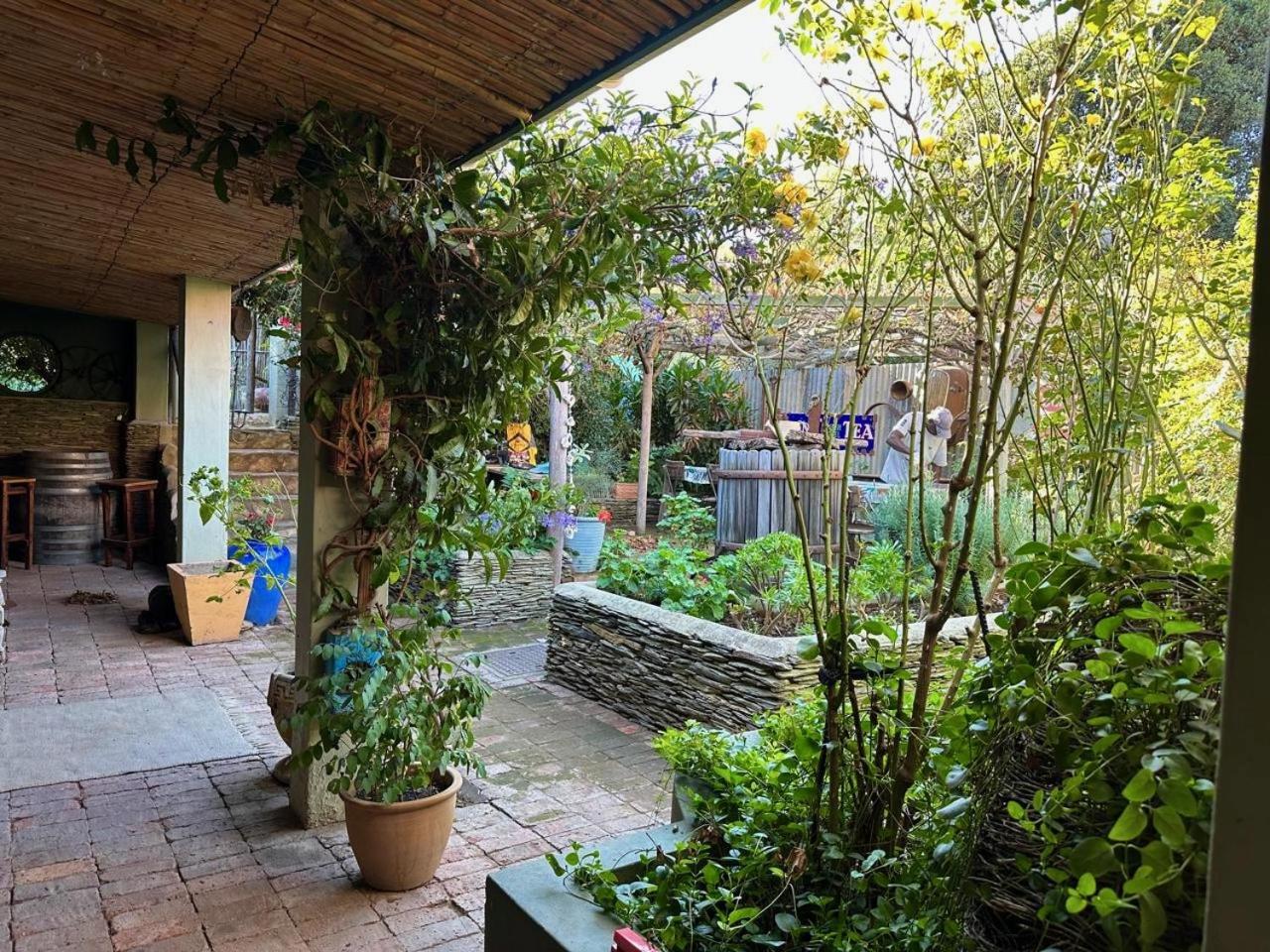 Tradouw Guesthouse Barrydale Εξωτερικό φωτογραφία