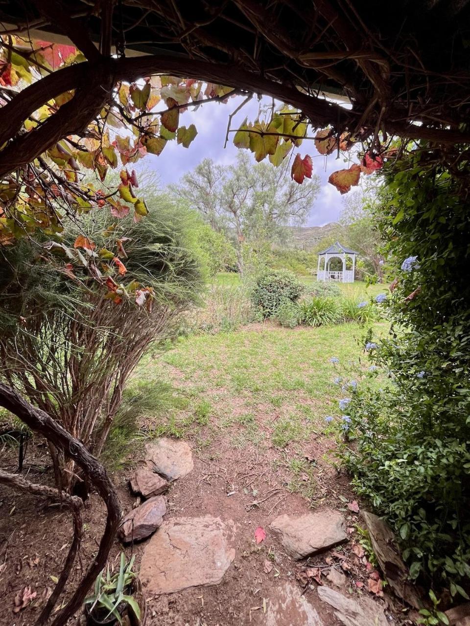 Tradouw Guesthouse Barrydale Εξωτερικό φωτογραφία