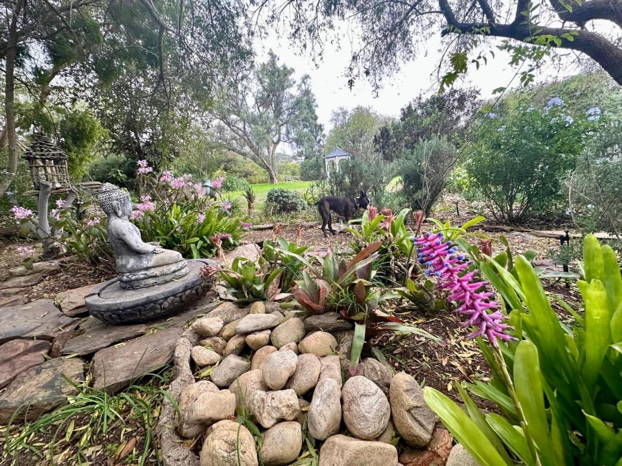 Tradouw Guesthouse Barrydale Εξωτερικό φωτογραφία